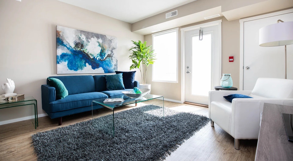 Pet-Friendly Two Bedroom Two Bath with In-suite Laundry for Rent 3