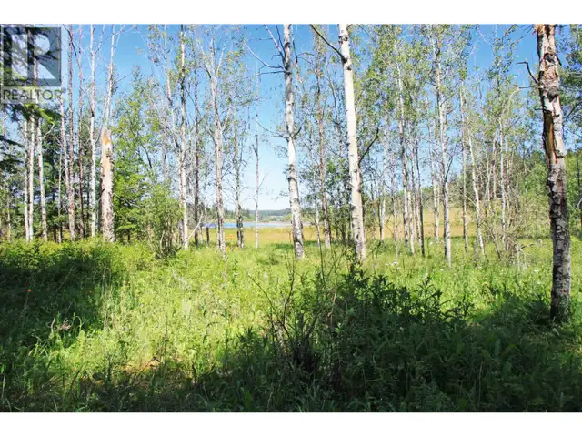 5371 KALLUM DRIVE 108 Mile Ranch, British Columbia in Land for Sale in 100 Mile House - Image 16