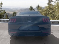 Welcome to Moncton Chrysler Jeep Dodge. Recent Arrival! 2025 Ford Mustang EcoBoost Premium EcoBoost... (image 4)
