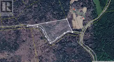 Looking for land near Judique or Port Hood? This 5.9-acre property offers endless potential - build...