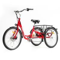 New Meigi Hera electric Tricycle Free Shipping One Year Warranty
