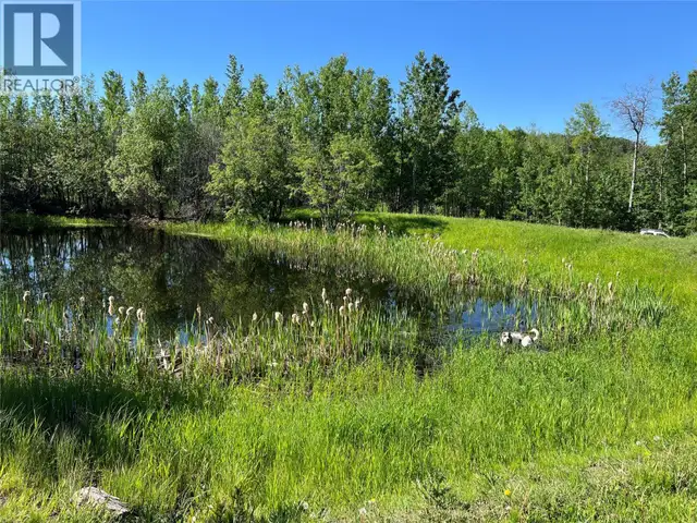 3466 218 Road Dawson Creek, British Columbia in Houses for Sale in Dawson Creek - Image 22