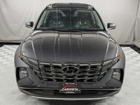 CONSECUTIVE COMSUMER CHOICE AWARD WINNERS! 5 years running, consecutive receivers of the prestigious... (image 2)