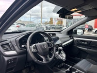 Navigate bustling city streets and tranquil country roads with unparalleled confidence in this 2022... (image 8)