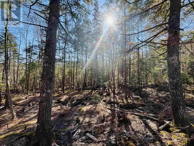 Lot 2 Oldham Road Enfield, Nova Scotia in Land for Sale in City of Halifax - Image 8