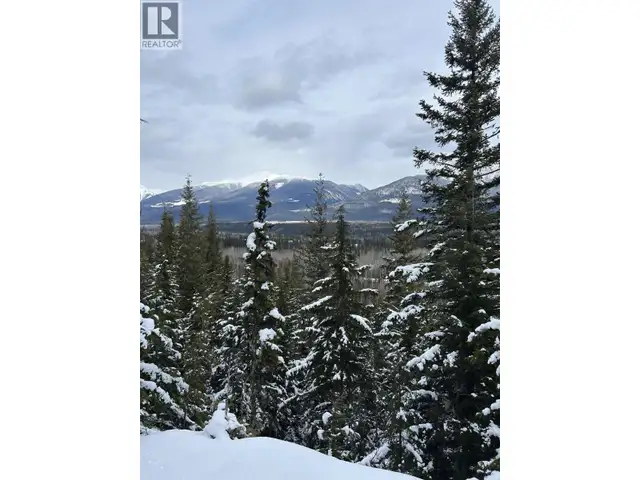 DL 7054 W 16 HIGHWAY McBride, British Columbia in Land for Sale in Quesnel - Image 8