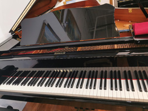Grand Piano | Kijiji in Calgary. - Buy, Sell & Save with Canada's #1 Local  Classifieds.