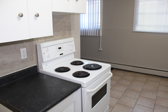 Queen Mary Park Apartment For Rent | Cypress Manor in Long Term Rentals in Edmonton - Image 4