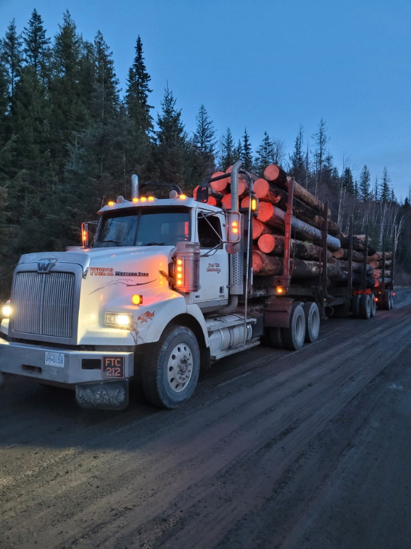 Processor operator and class 1 log truck driver in Other in Williams Lake - Image 2