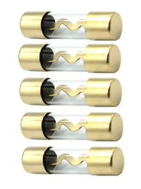 5 PACK AGU FUSE FUSES 10 AMP (5 PCS) City of Toronto Toronto (GTA) Preview