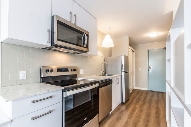 Furnished Studio Apartment | AUGUST MOVE-IN in Long Term Rentals in Kitchener / Waterloo - Image 3