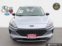 Rose City Ford - ONE OWNER - ACCIDENT FREE - HEATED CLOTH SEATS - LANE KEEPING SYSTEM - BLIS w/ CROS... (image 8)