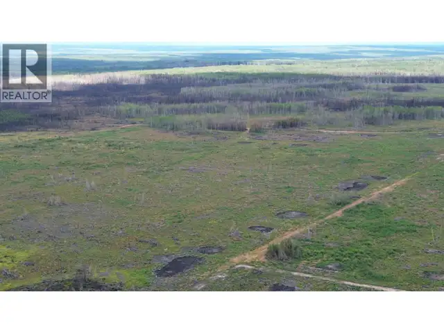 1111 BIRLEY ROAD Buick Creek, British Columbia in Land for Sale in Fort St. John - Image 11