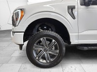 FORD F-150 XLT SUPER CREW 4WD 2023 PACKAGE SPORT 302A / FX4 V8 5.0L Toit Panoramique 1 Proprio Jamai... (image 7)