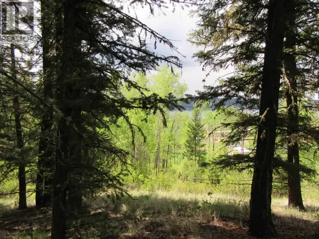 DL 2808 DONOVAN ROAD Lac La Hache, British Columbia in Land for Sale in 100 Mile House - Image 12