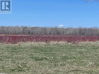 250 SCOTCH LINE ROAD Assiginack, Ontario Sudbury Ontario Preview