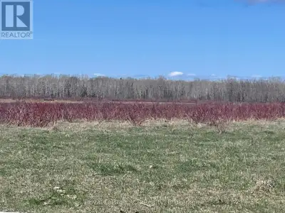 187 acre cash crop or pasture farm adjacent to Green Bay on Lake Manitou, Manitoulin Island. 130 acr...