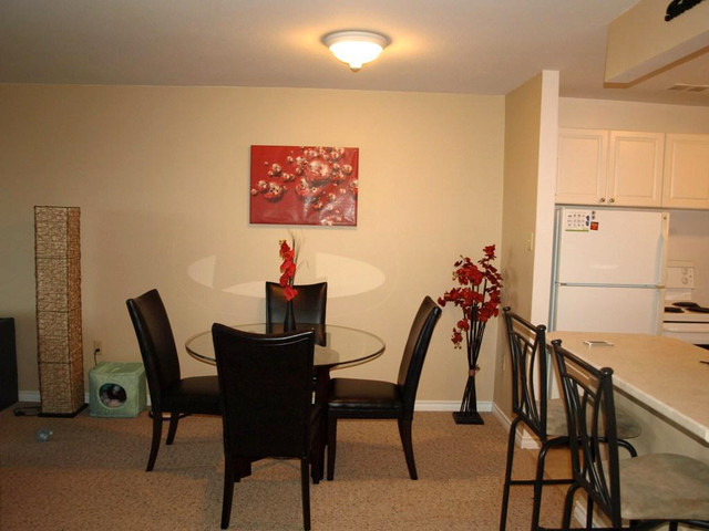 Point-of-View 1 Bedroom  Apartment Available May 1st in Long Term Rentals in Sudbury - Image 3