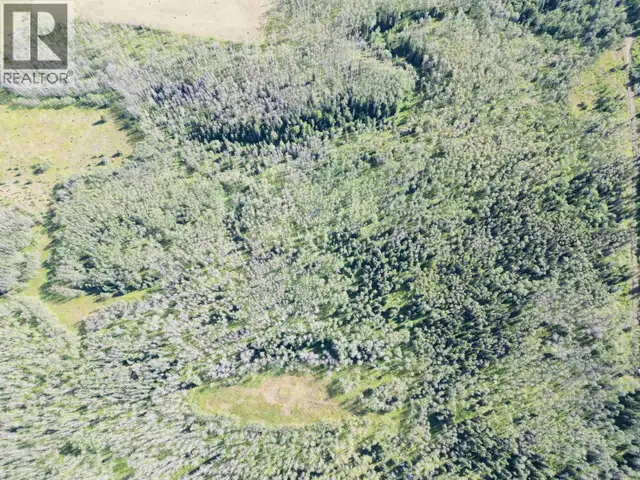 DL 941 SHAEFFER LAKE Burns Lake, British Columbia in Land for Sale in Burns Lake - Image 14