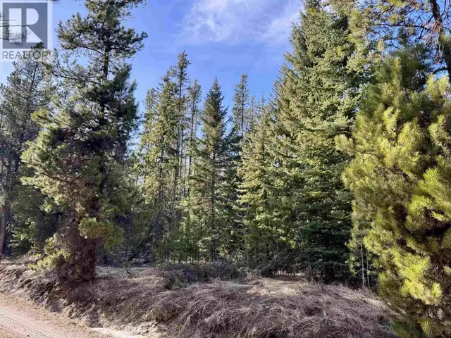 LOT A 3840 BRYAN ROAD Valemount, British Columbia in Land for Sale in Quesnel - Image 7