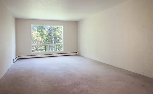 SPACIOUS 1 BEDROOM | GET ONE MONTH FREE! in Long Term Rentals in City of Halifax - Image 4