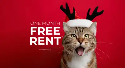 Broadstreet's Vista Pointe offers 1, 2, and 3 bedroom pet friendly apartments for rent, set in the h...