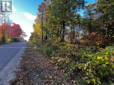 Nestled in the heart of a vibrant and growing community of White Lake, this nearly 1-acre vacant lot...
