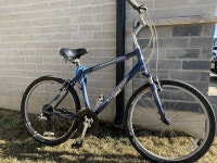 Great Condition Specialized Expedition Sport Bicycle 