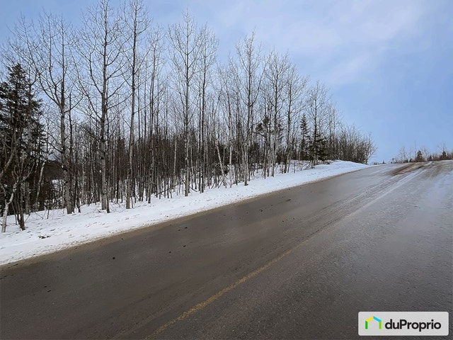 $95,000 - Wood Lot for sale in Ste-Francoise — photo 2