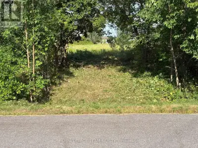 Build your dream home in the charming village of Fitzroy Harbour! This is your chance to create the...