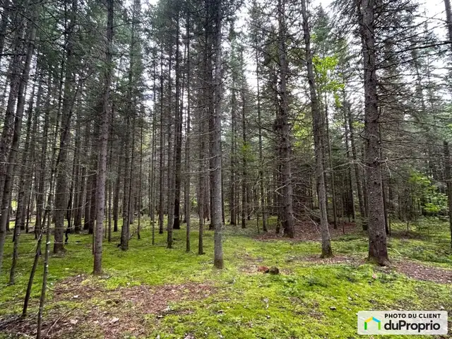 $125,000 - Residential Lot for sale in St-Donat628637737781771210