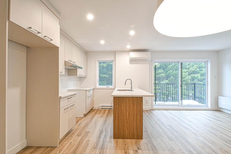 4½ à louer — 2062 Rue de la Visitation, app. 205 1