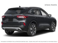 THE PRICE YOU SEE, PLUS GST. GUARANTEED! APPLE CARPLAY/ANDROID AUTO COMPATABLE! PREVIOUS FORD EXECUT... (image 2)