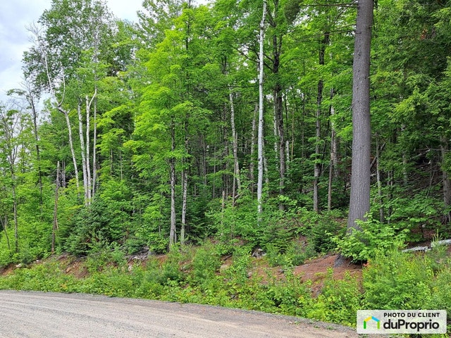 $105,000 - Residential Lot for sale in Chertsey — photo 3