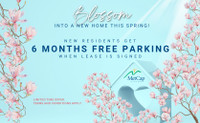 Promotions: To schedule a viewing call: 236-804-0545 The Summit at 1005 Jervis Street in Downtown Va... (image 1)