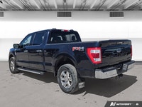 ENGINE: 5.0L V8 -inc: flex-fuel capability and auto start/stop technology GVWR: 3 198 kg (7 050 lb)... (image 2)