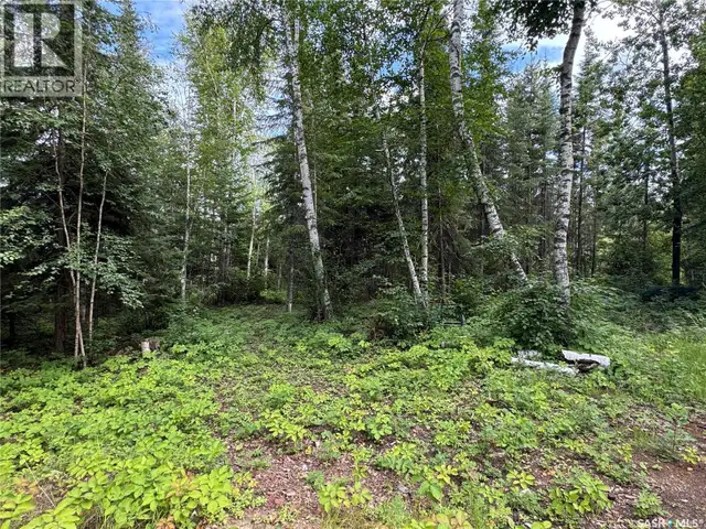 87 Wadin DRIVE Northern Admin District, Saskatchewan in Houses for Sale in La Ronge - Image 32