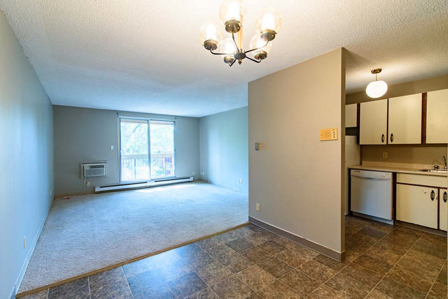Moray Village Phase II - 1 Bedroom Apartment for Rent in Long Term Rentals in Winnipeg - Image 4