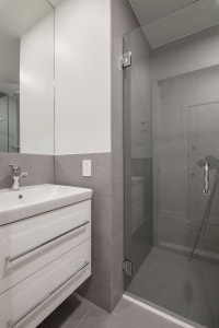 Renovated Akelius one bedroom apartment for rent. Located near Du Fort in the Downtown - Guy Concord... (image 7)