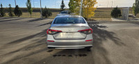 Our 2024 Honda Civic EX in Lunar Silver Metallic is in stock and ready for your driveway! Call to bo... (image 3)