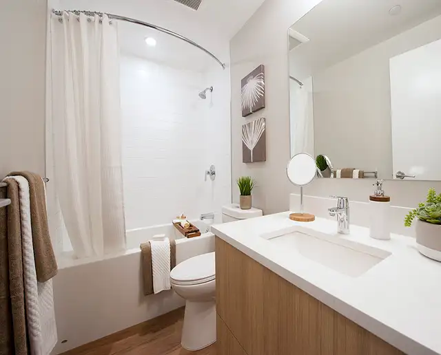 1+den suites in downtown Victoria at Yello on Yates Apartments! in Long Term Rentals in Victoria - Image 9