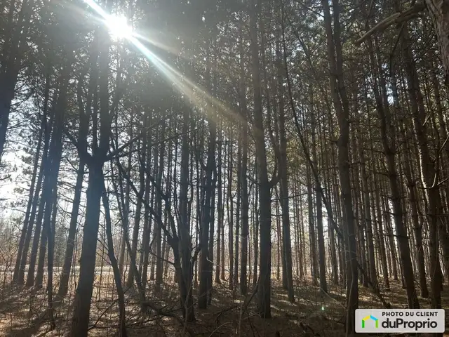 $199,000 - Residential Lot in Drummondville (St-Nicéphore) in Land for Sale in Drummondville - Image 7
