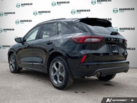 The 2024 Ford Escape ST-Line in sleek black boasts AWD capabilities, making it a versatile and relia... (image 3)