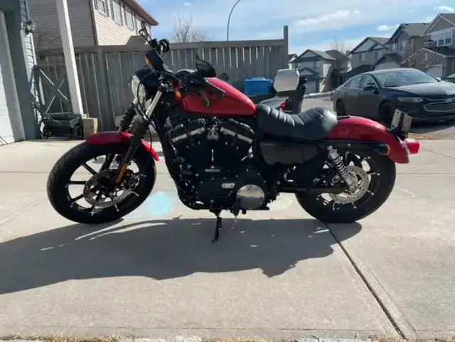 2018 HARLEY SPORTSTER IRON 883XL (FINANCING AVAILABLE) in Sport Touring in Strathcona County - Image 3