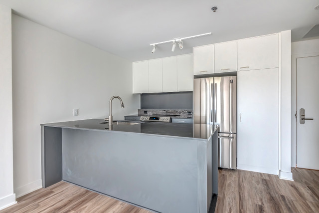 STUDIO-Condo Apparement NEUF & LUXE à louer Griffintown dans Locations longue durée  à Ville de Montréal - Image 2