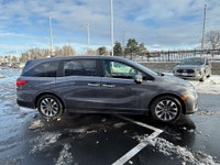 Certified. EX-L|DVD|CarPlay|Heated Seats|One Owner 2024 Honda Odyssey EX-L EX-L|DVD|CarPlay|Heated S... (image 7)