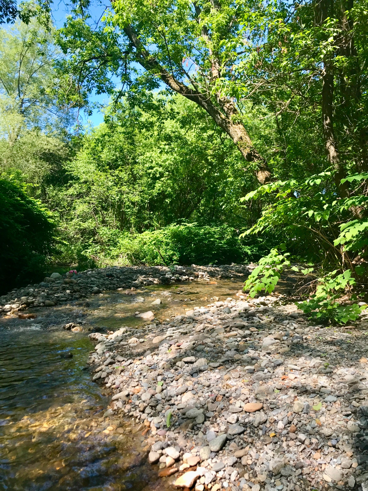 Terrain à vendre à Sutton – Bordé par la rivière– Village à pied — photo 1