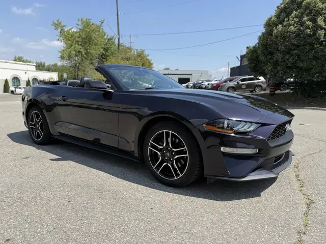 2023 Ford Mustang EcoBoost Premium Fastback for sale in Cars & Trucks in Mississauga / Peel Region - Image 4