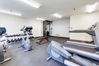 1 Bed, 1 Bath, Spacious, Recently Renovated Kitchen, Spectacular Location with CN Tower views, Unit... (image 8)