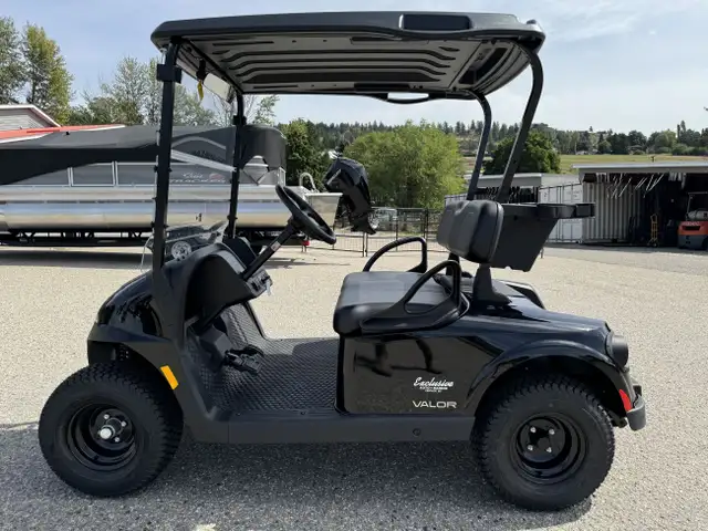 2025 EZGO Valor EX1 -Best Golf Cart,by Textron in ATVs in Vernon - Image 6